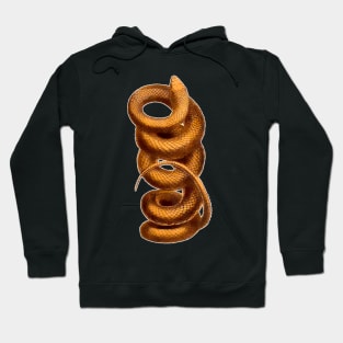 Coiled snake Hoodie